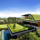 amazing house in Singapore (2)