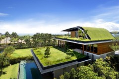 amazing house in Singapore (2)