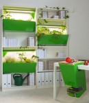 parasite01 parasite01