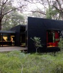 A Living Creature into the Dark Forest – Red Hill Residence (1)